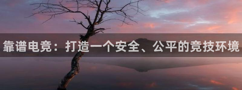 乐竞电竞app最新版：靠谱电竞：打造一个