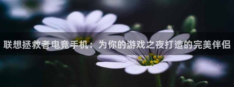 乐竞电竞和泛亚电竞有什么区别：联想拯救者