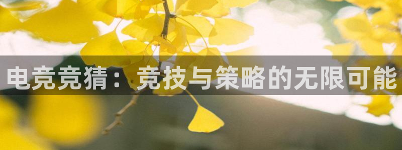 乐竞电竞官网网站