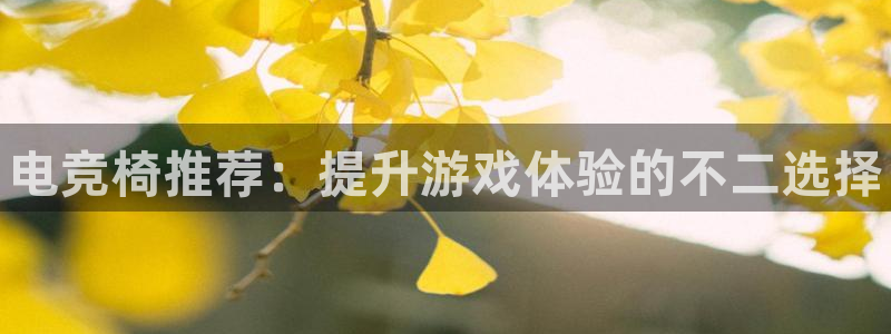 乐竞电竞网站是多少：电竞椅推荐：提升游戏