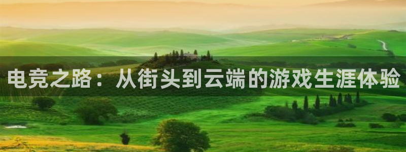 乐竞电竞,乐竞电竞官网首页：电竞之路：从