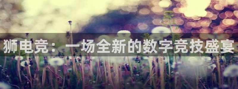 乐竞电竞比分：狮电竞：一场全新的数字竞技