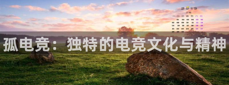 乐竞电竞合法吗?：孤电竞：独特的电竞文化