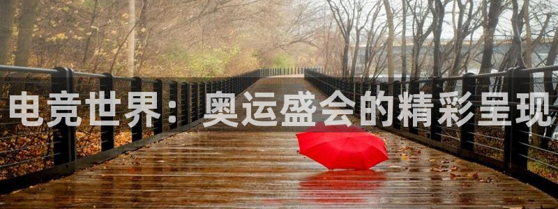 乐竞电竞会员日：电竞世界：奥运盛会的精彩
